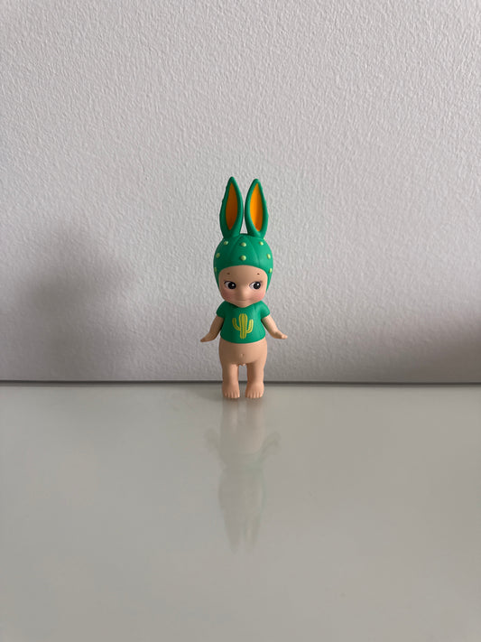 Cactus Bunny