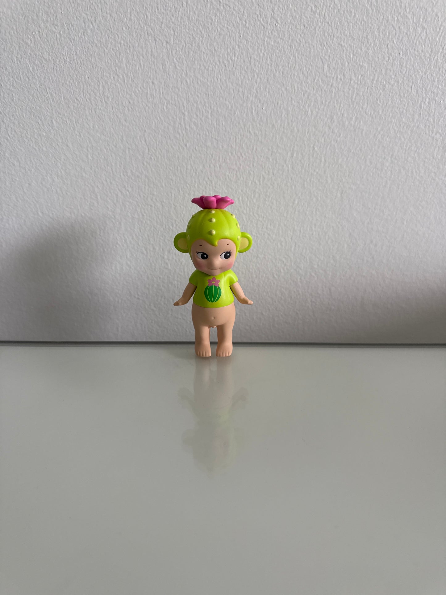 Cactus Monkey